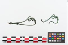 Foto von Bronzeschlangenfibel (NHMW-PRAE-024344)